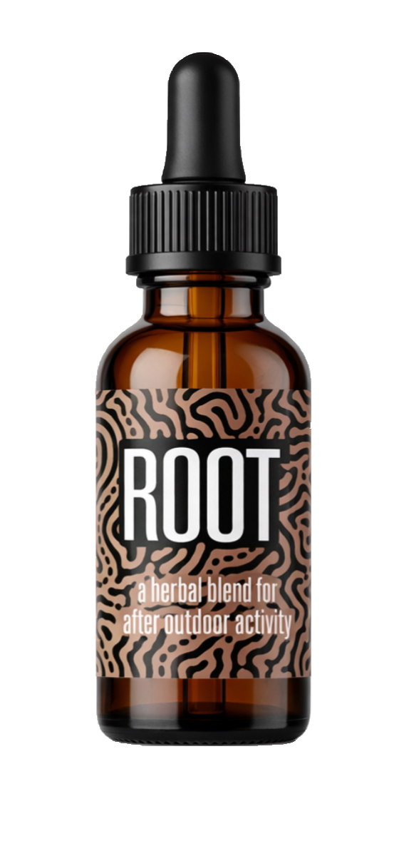 Root